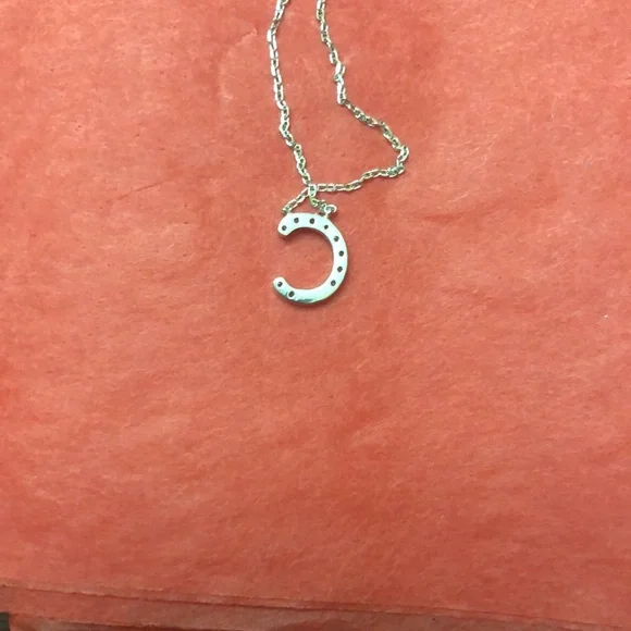 Haltoms Diamond letter C 925 sterling necklace - Picture 3 of 3
